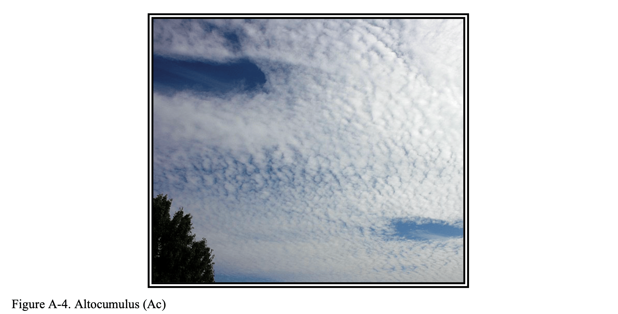 Altocumulus Clouds