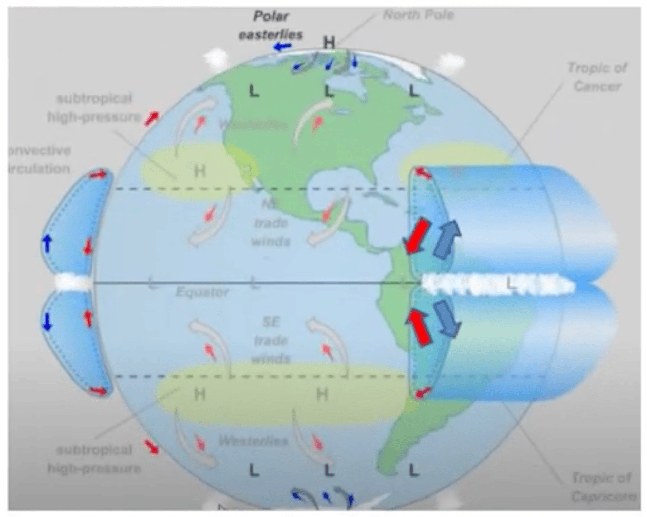 Idealized convection with Coriolis