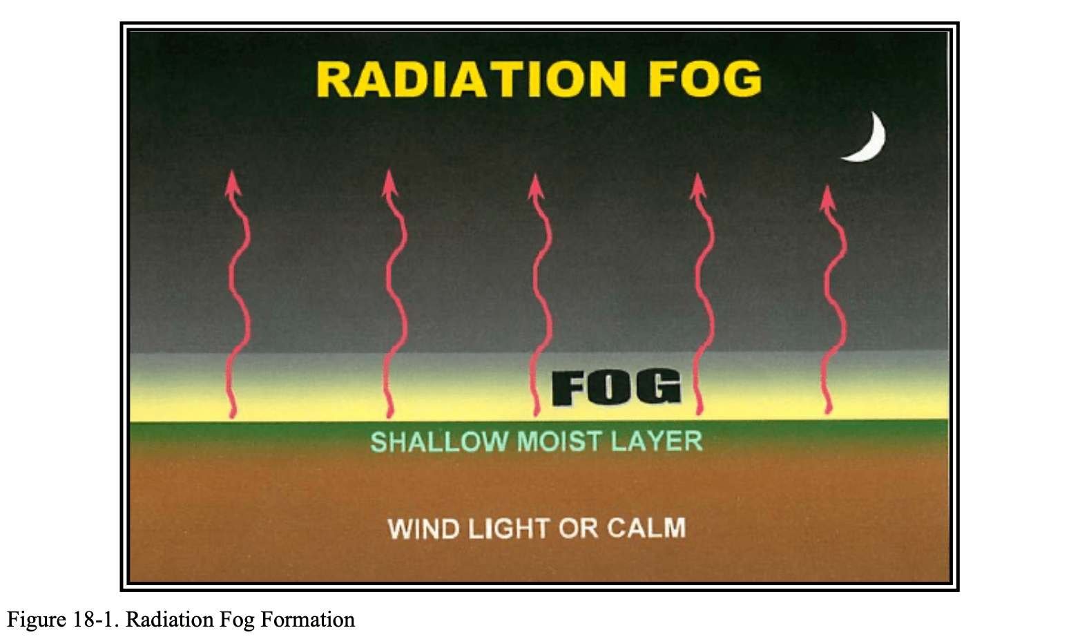 Radiation Fog Formation